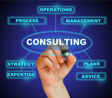 consultant or business analyst