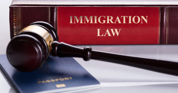 immigration attorney or legal professional