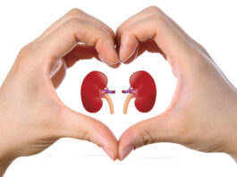 Healthy Kidneys